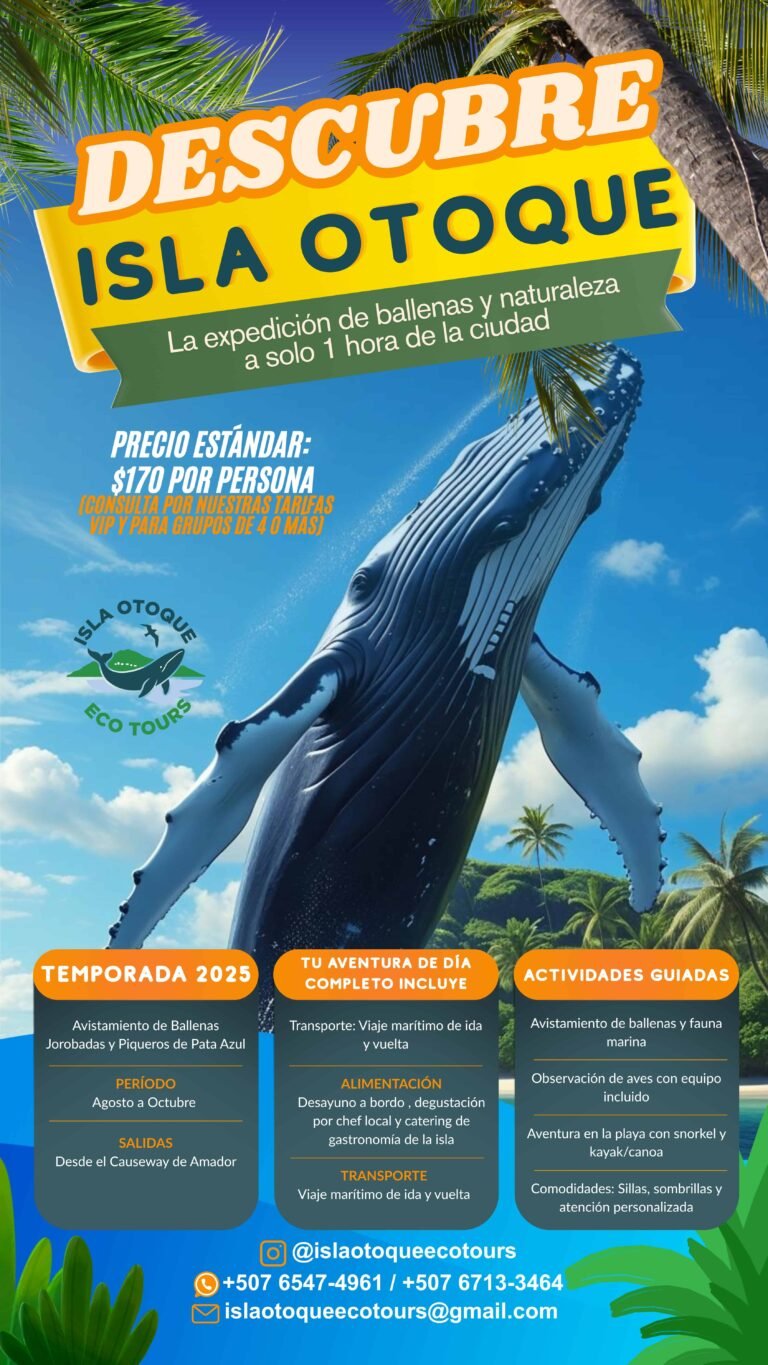 Flyer-Diseño-Gráfico