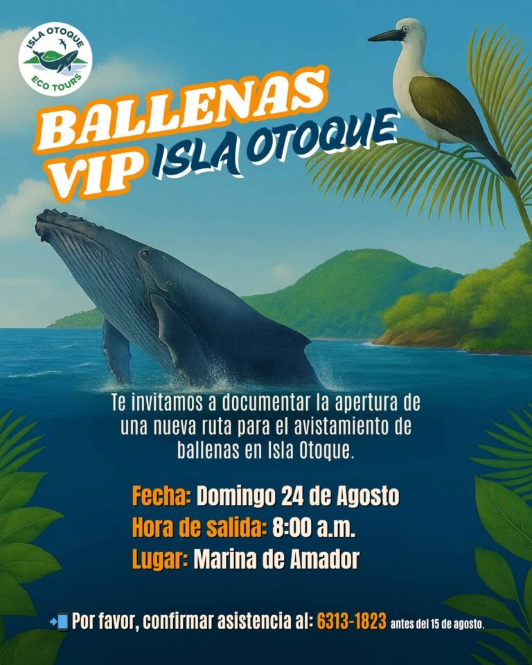 Flyer-Diseño-Gráfico